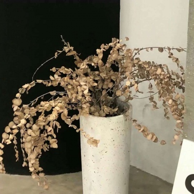 兽设原创设计欣赏兽圈群